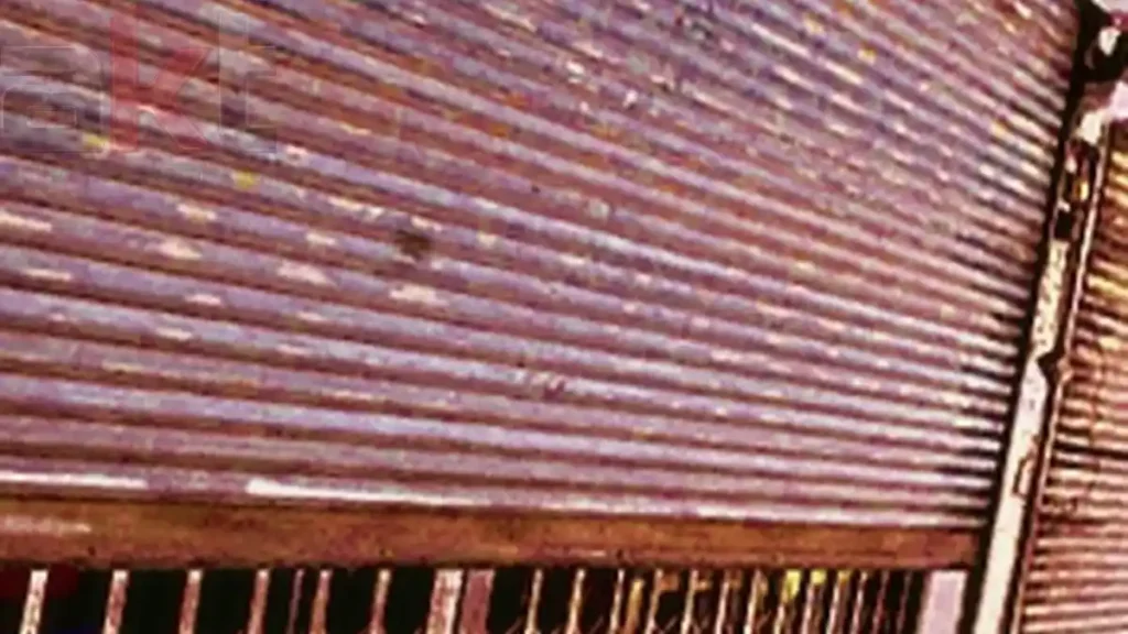 Deniz Kenarında Kepenk Bakımı – Korozyon ve Tuz Etkisine Karşı Önlemler